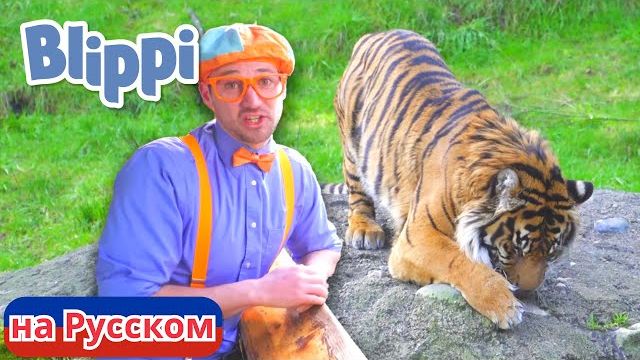 Блиппи идёт в зоопарк. Блиппи на Русском. Изучай этот Мир вместе с Блиппи