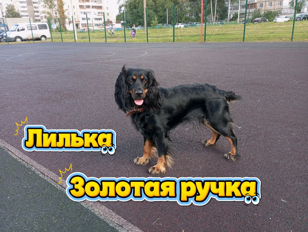 Лилька Золотая ручка 😎👍