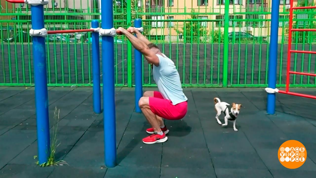 Приседаем! Доброе утро. Фрагмент выпуска от 26.08.2026