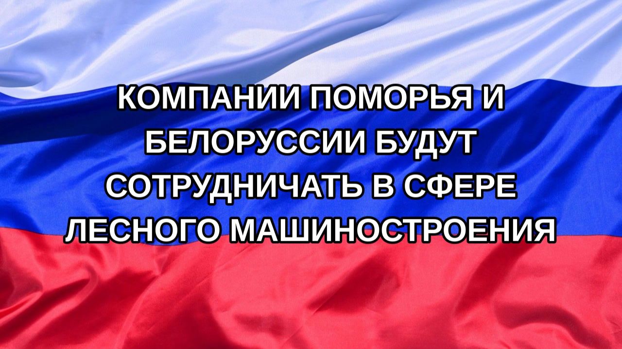 |Н. РФ| Компании Поморья и Белоруссии будут сотрудничать в сфере лесного машиностроения