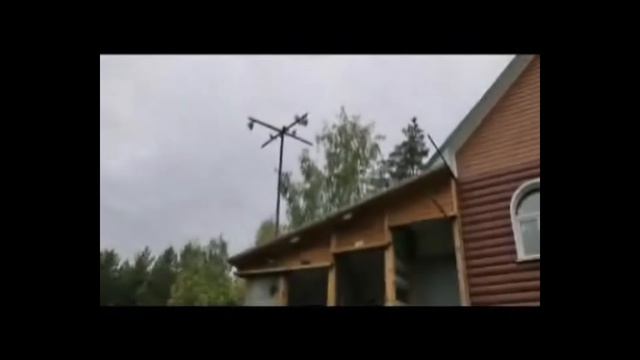 Посадка и загон голубей - 2013г.
