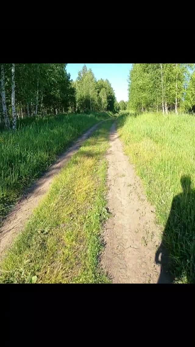 «Бег на пределе кипения»