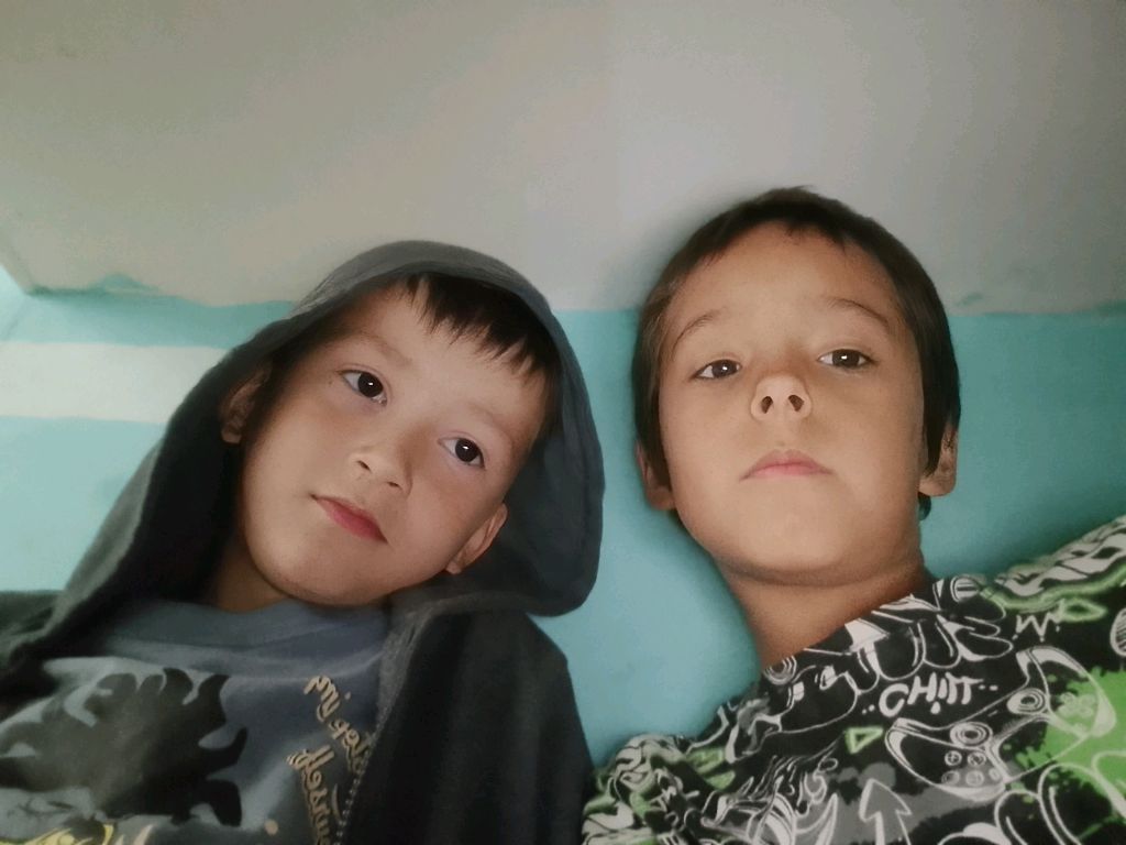 выполняю любые за данея