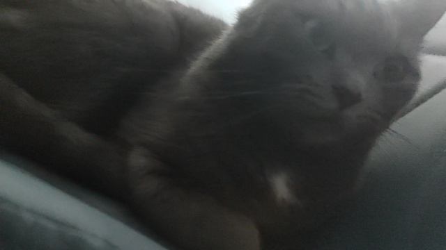 1000037042.mp4