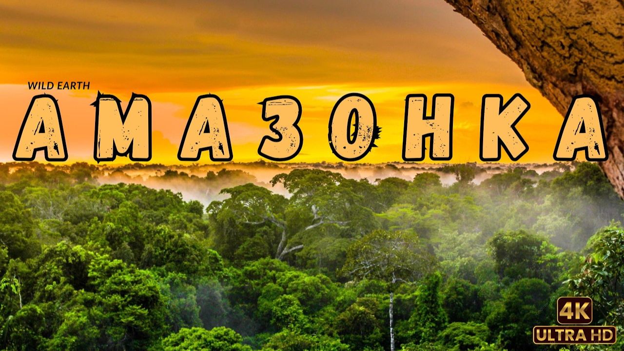 Дикая Амазонка: Легенды джунглей | Wild Amazon: Legends Of The Junglе