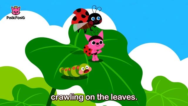 Насекомые насекомые насекомые  Песни о насекомых  Песни PINKFONG