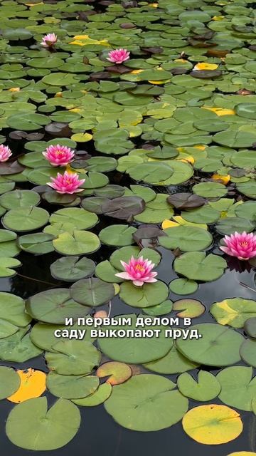 Мода на сады