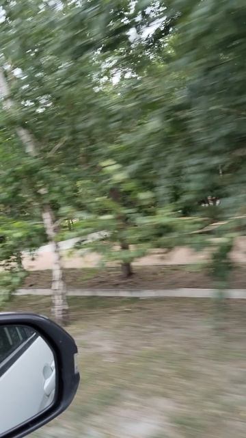 Отпуск лето 2026 109 серия