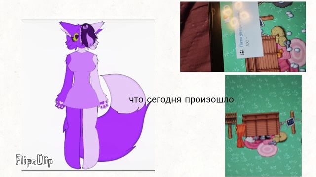 микори. что это такое