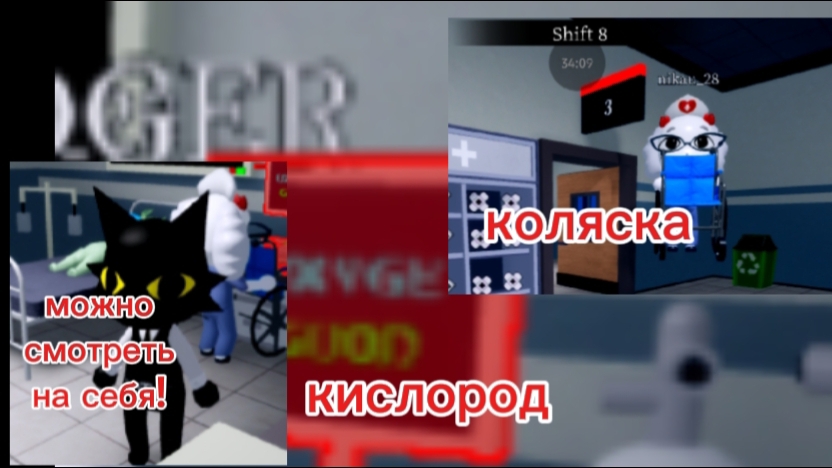 обновление в Animal Hospital