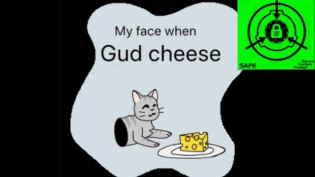 SCP-529 