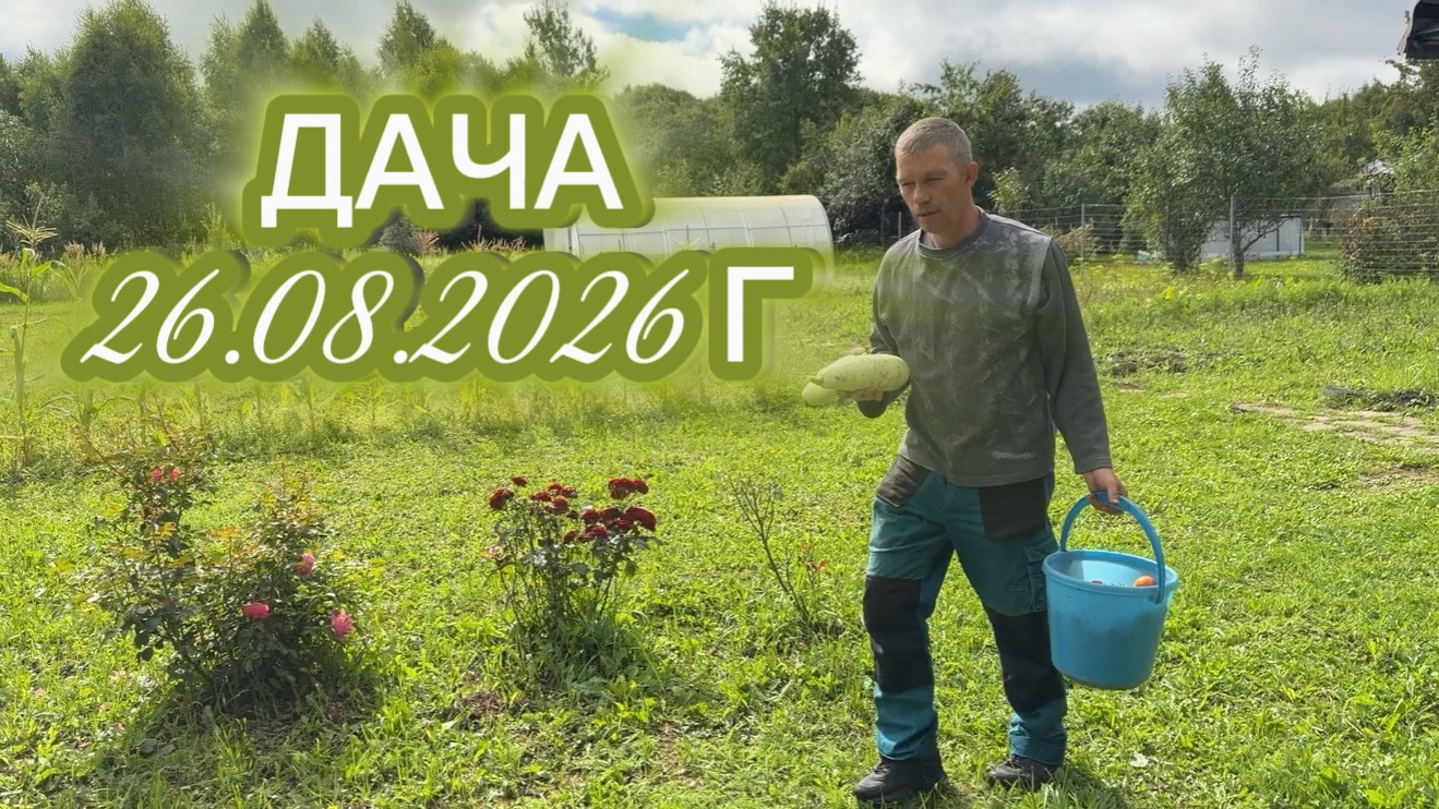 ДАЧА 26 АВГУСТА 2026 Г