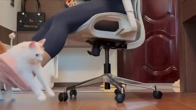 Которусель
