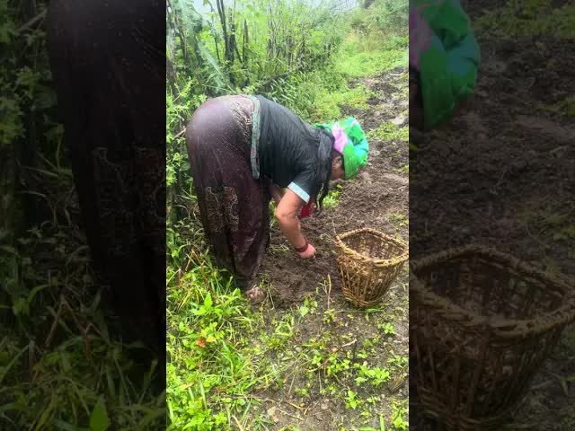 #деревенскаяжизнь
