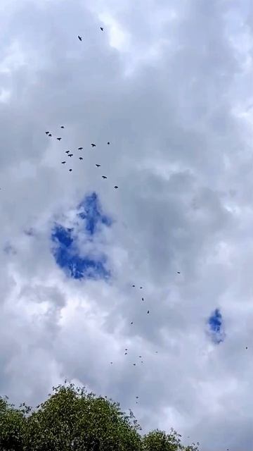 Этот мир завтрашнего дня.
