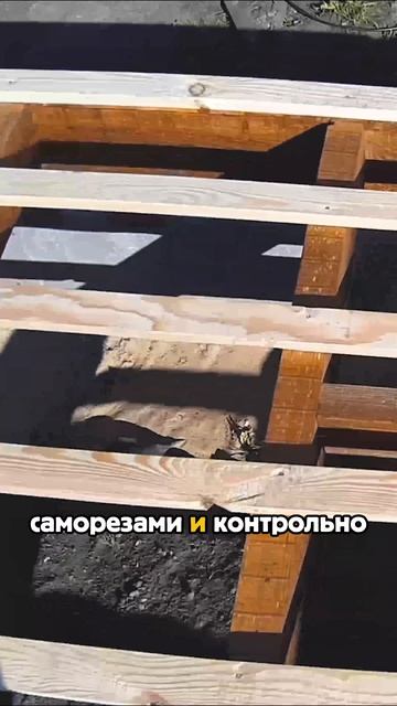 Строю глэмпинг на даче своими руками #стройка #строимдом #своимируками #строительство #глэмпинг