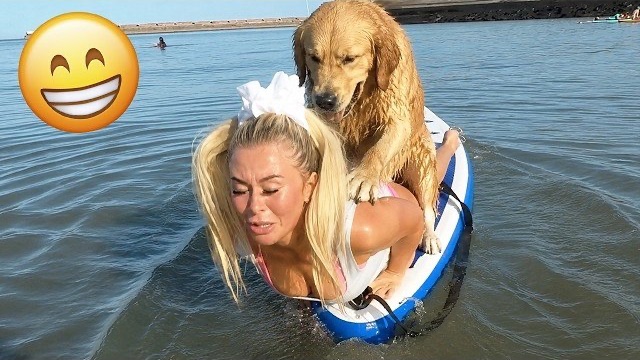 Приколы с животными🤗 Смешные видео про животных 🤗СМЕШНОЕ ВИДЕО😍 Наши смешные животные