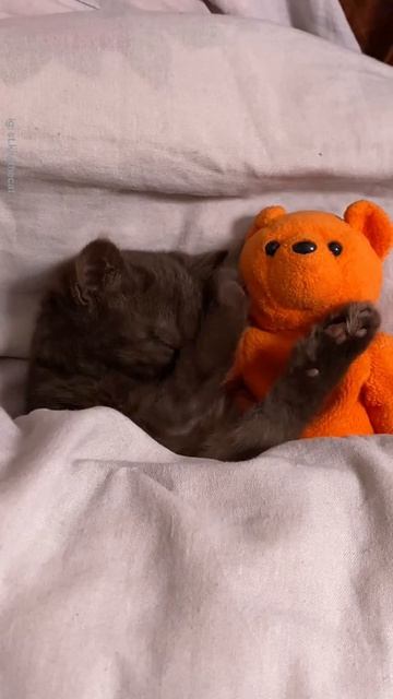 ❤❤❤