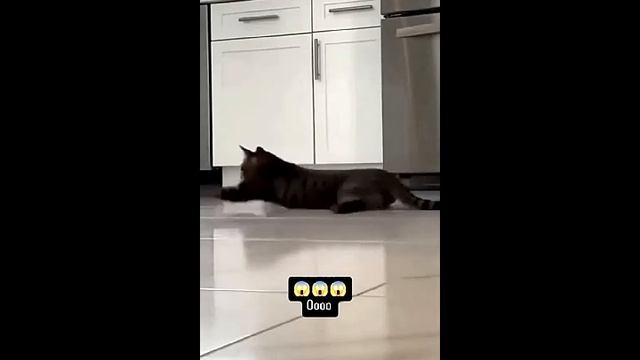 Всячинки