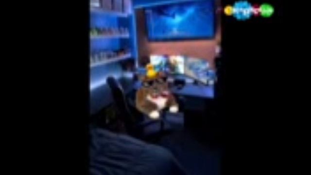 3 Фейковых инцидентов которые не существует