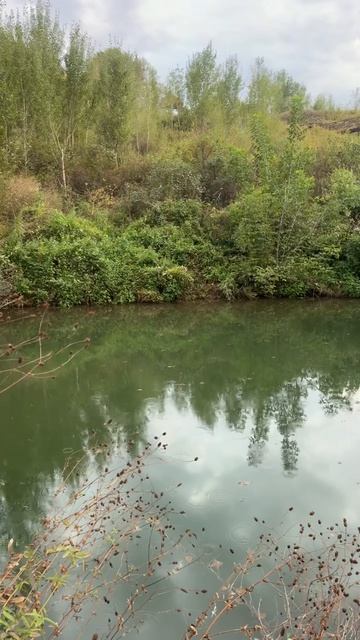 Вечер на Богородичной дорожке.