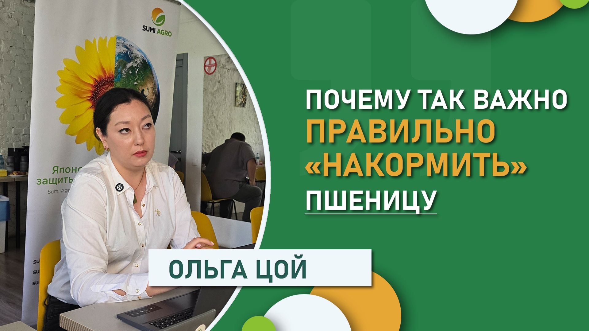 Иммунитет растения в руках агронома. Почему так важно правильно «накормить» пшеницу