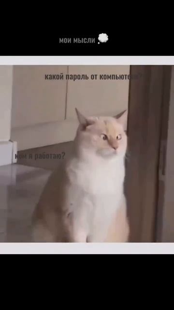Если возвращаясь с отпуска, я не помню на какой этаж нажимать в лифте на работе - значит хорошо отдо