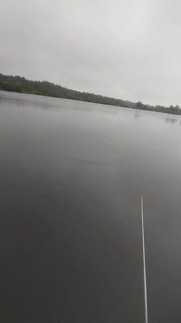 1000051148.mp4
