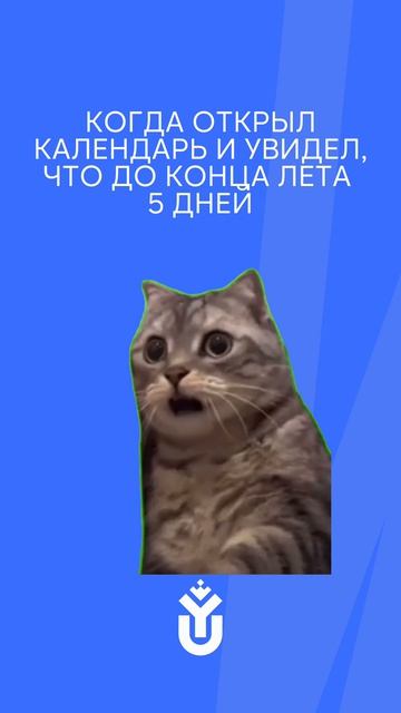 КОГДА ОТКРЫЛ КАЛЕНДАРЬ И УВИДЕЛ, ЧТО ДО КОНЦА ЛЕТА 5 ДНЕЙ