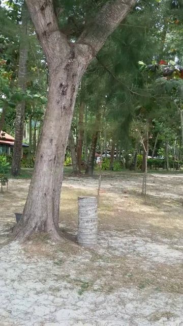 20170317_084907