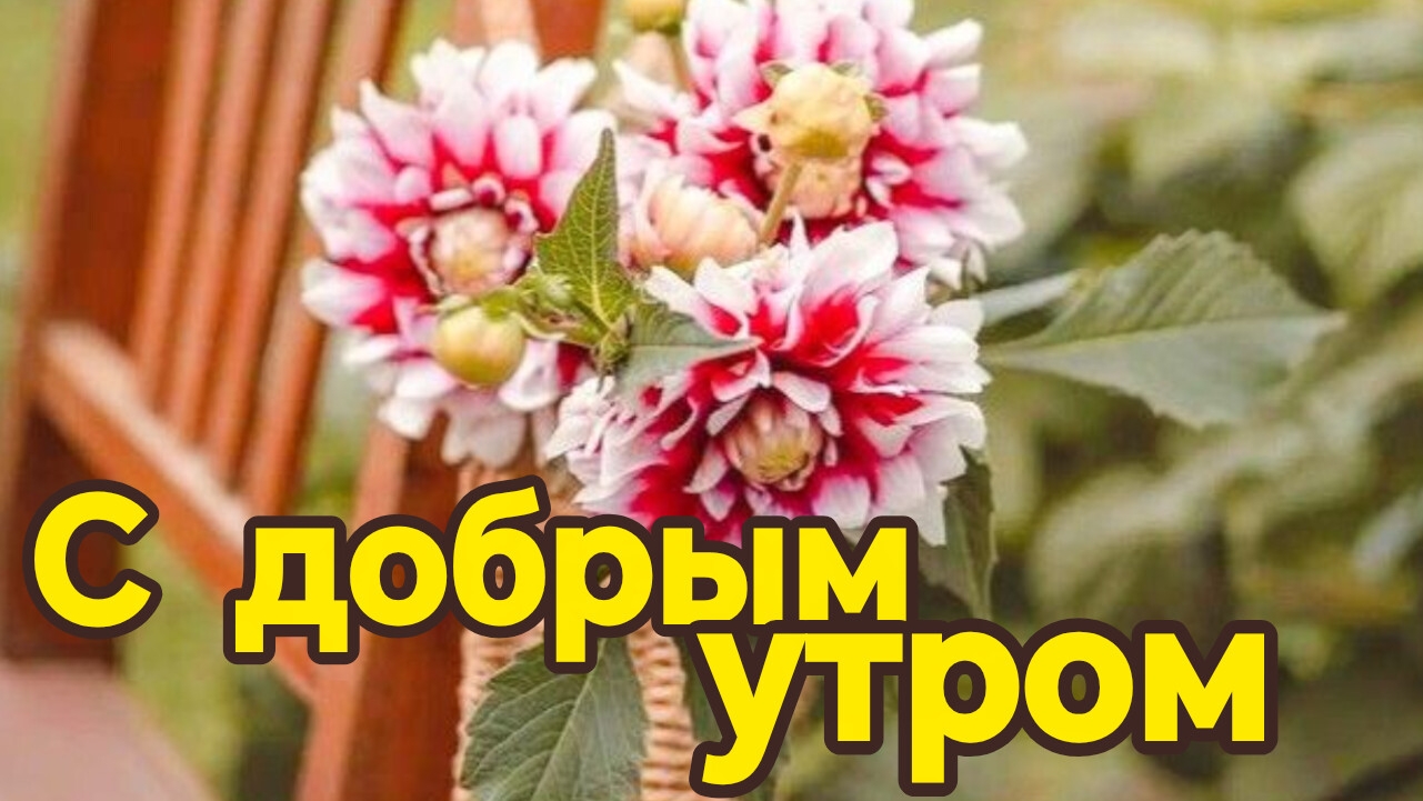 С добрым летним утром. Красивая музыкальная открытка.