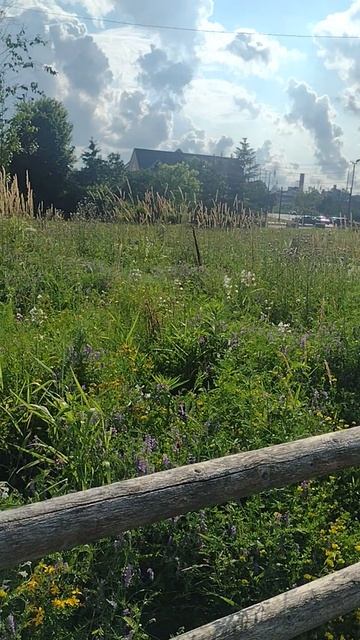VID_20260704_174639397