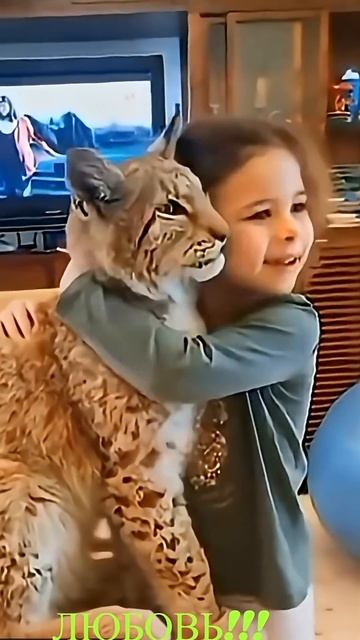 Удивительные животные !!! #кошки