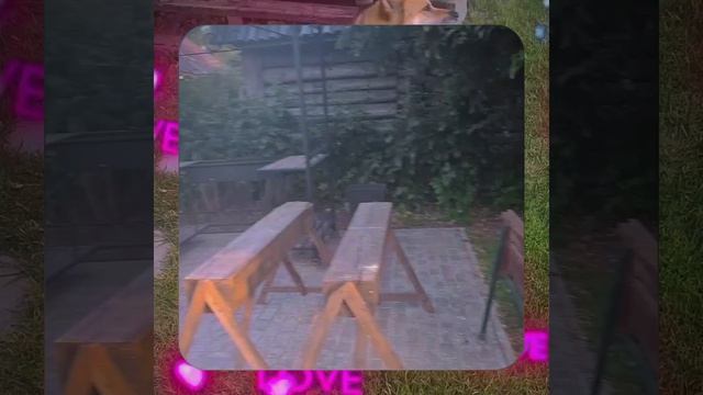 1000068040.mp4 Собака слушает о установке стоек в северную нишу на 2-ом этаже в доме А-фрейм