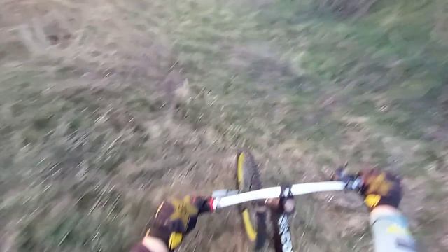 Тот самый Спот спустя несколько лет!