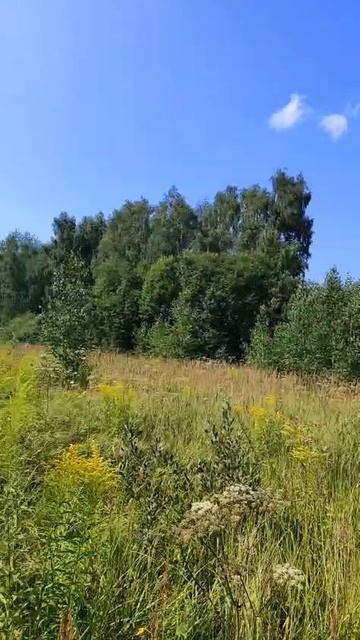З/у с к.н. 50:28:0110148:735, расположенный по адресу: МО, г.о. Домодедово, п. Повадино