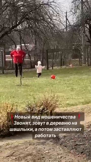 IMG_1456.MP4