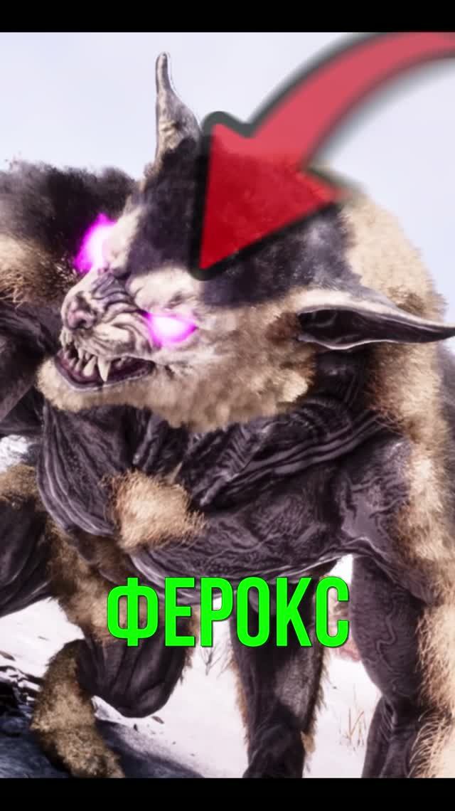 Ферокс в ARK: от пушистика до машины убийств — полный гайд #ARKSurvivalAscended #Ферокс #Арк