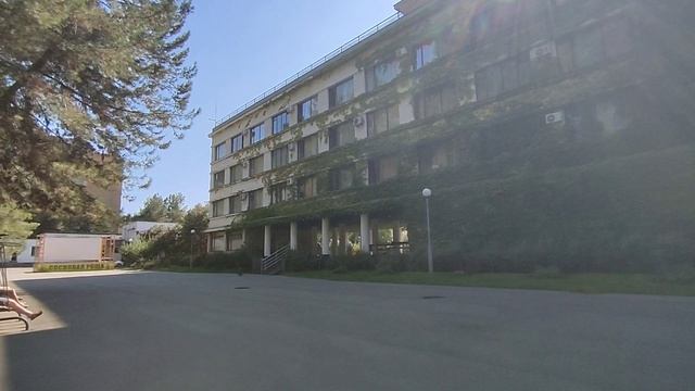Абхазия Цитрусовый совхоз Погода Пансионат Сосновая роща Пляж Море 26 августа 2026 г.