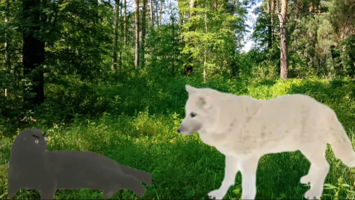 Прикол + коллаб с Тимошкой