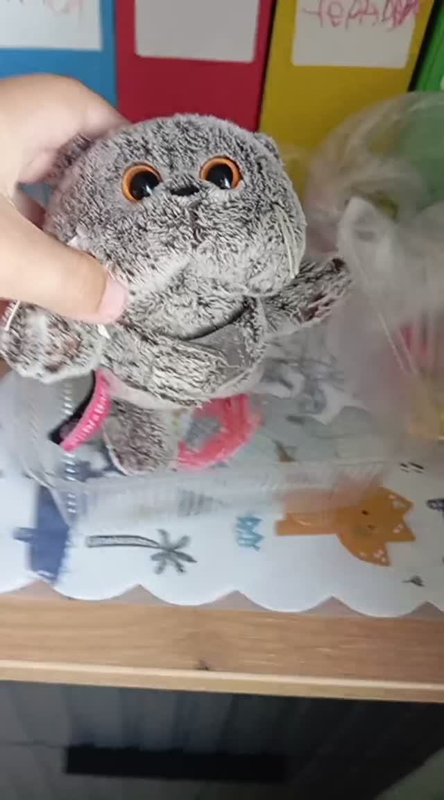 Skibidi Cat 1-серия