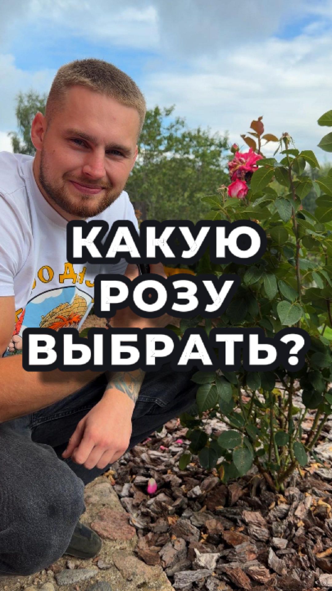 Какую розу посадить на даче, чтобы она стала королевой участка? 👑🌹