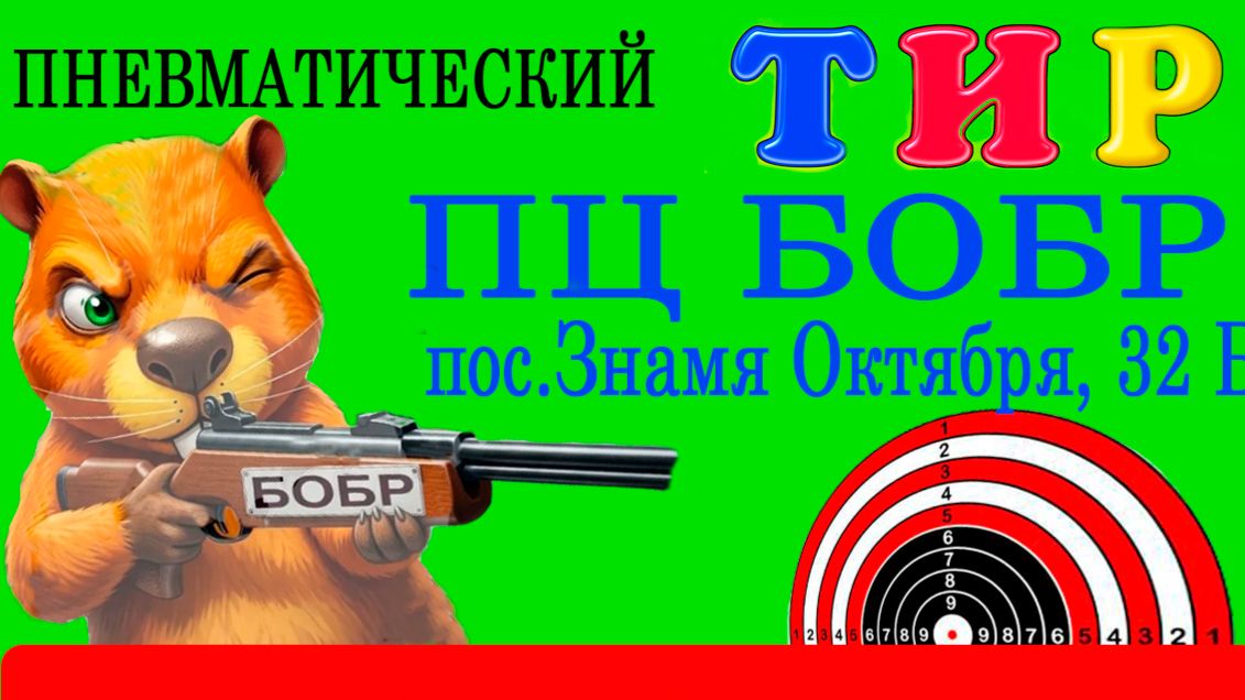 тир фото