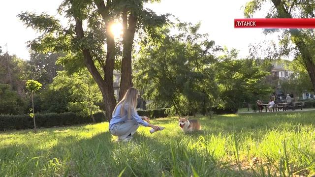 ЗАЩИТИТЬ СЕБЯ И ПИТОМЦЕВ