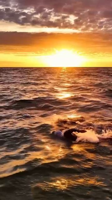 Когда вода становится домом