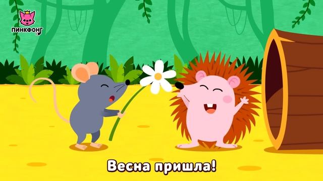 Акулёнок и другие песни | Песни про Животных | + Сборник | Пинкфонг Песни для Детей