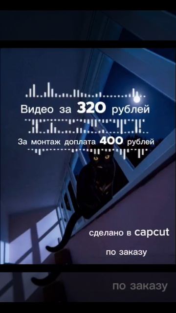 Что делать есле кошка тыгыдыкает?