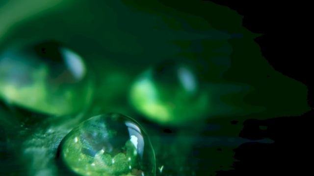 Природа и Краивейшая Музыка для отдыха !!! 2026