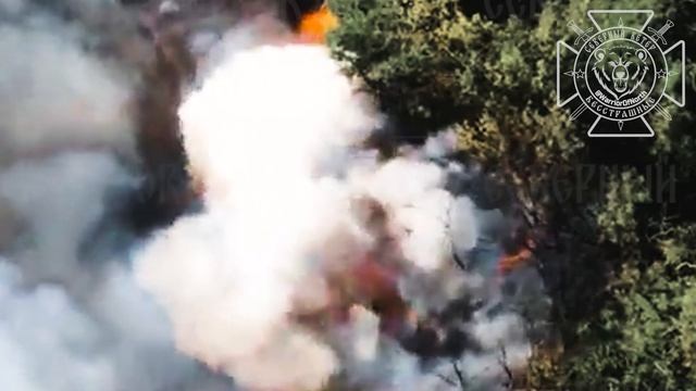 Очередной танк ВСУ сожжен в Харьковской области.