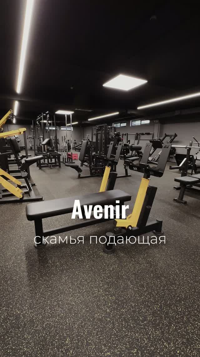 Скамья для жима гантелей со стойками горизонтальная AV139/100